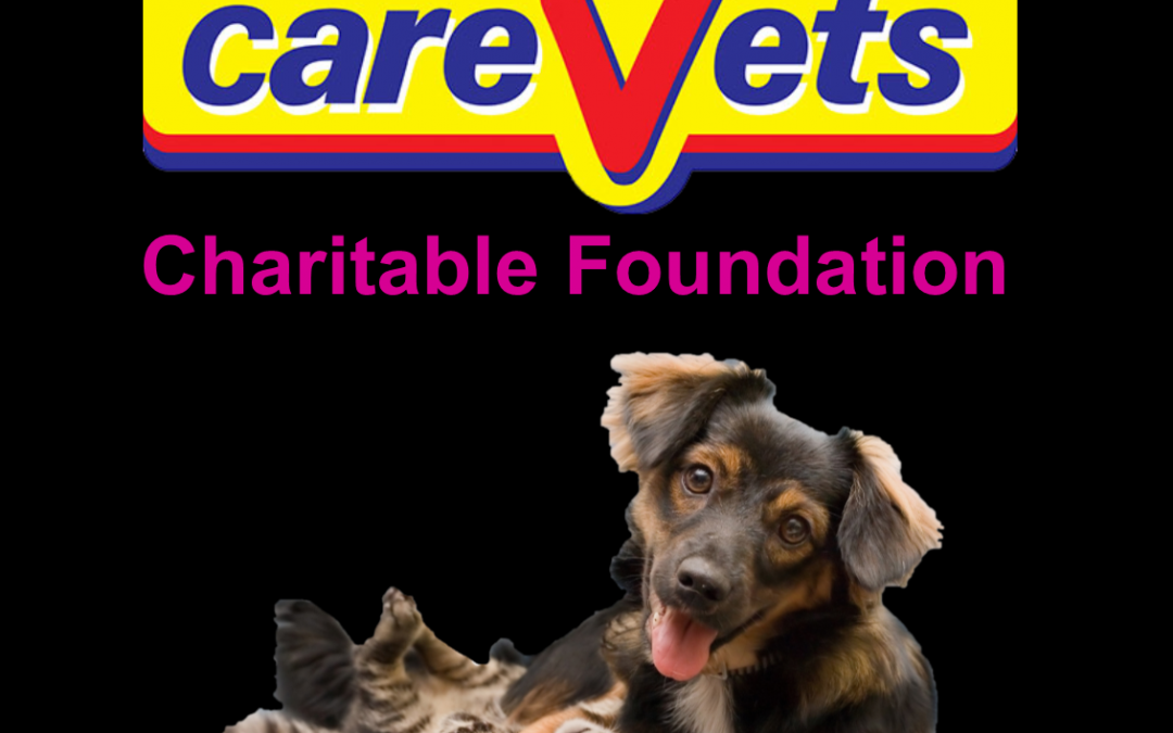 The CareVets Charitable Foundation