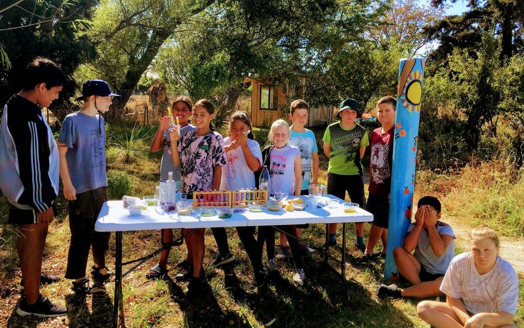 Te Kura o Papatuanuku – Wairarapa Earth School