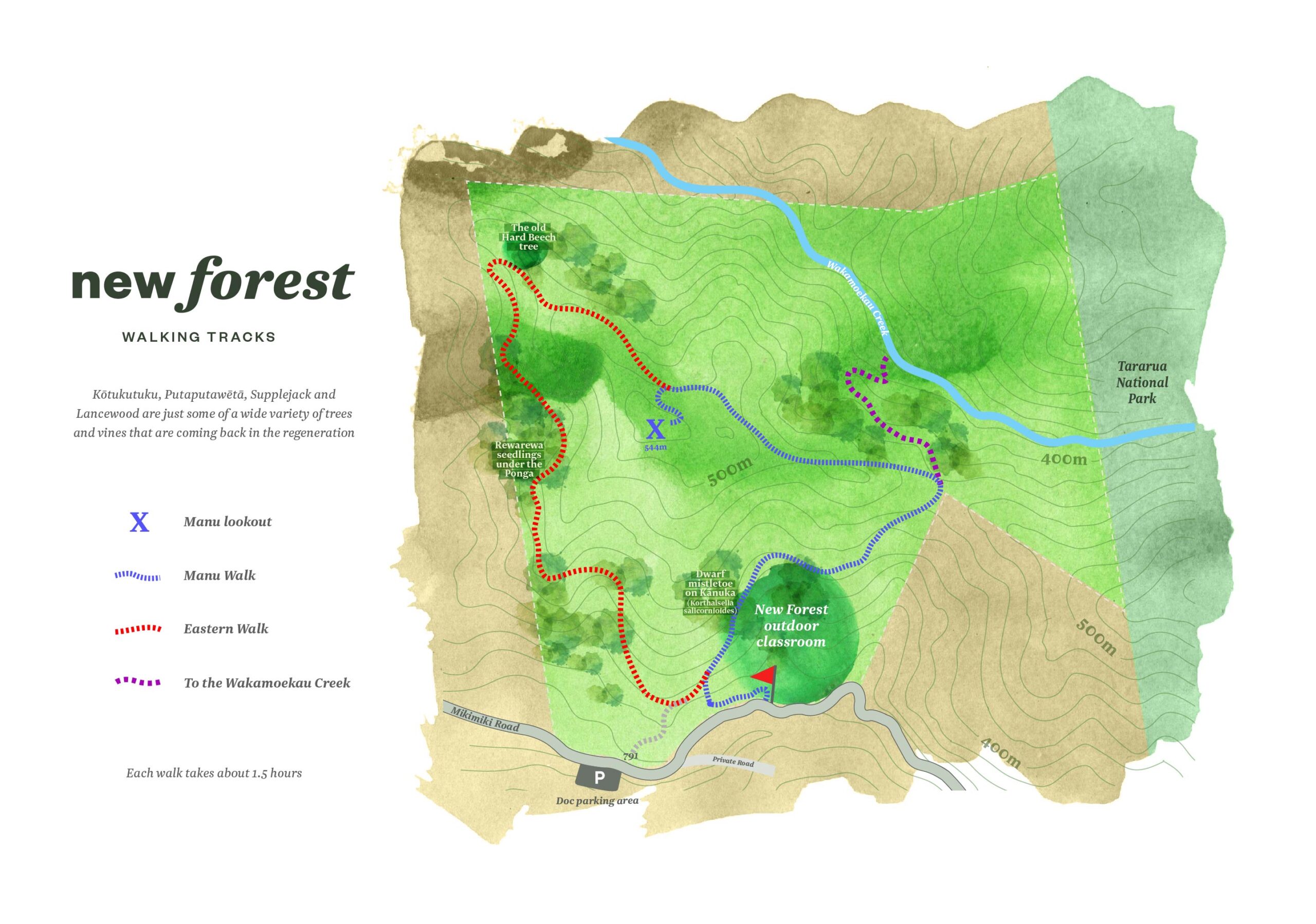 New Forest walking tracks