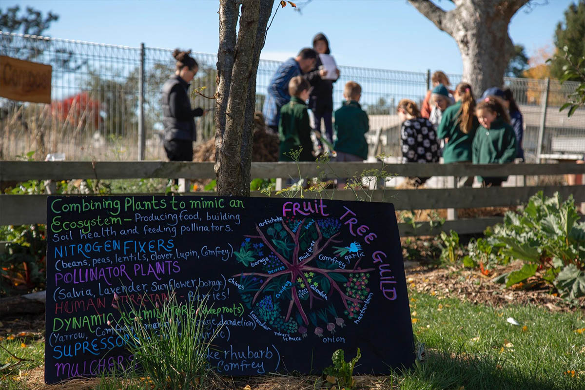 Te Kura O Papatūānuku Wairarapa Earth school