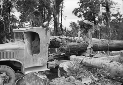 The Identity and Heritage of Upper Hutt